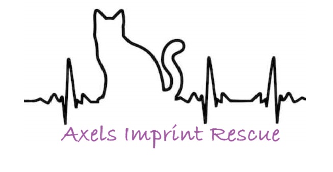 Axel’s Imprint Rescue and Sanctuary